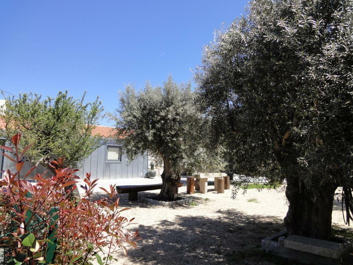 Гостьовий будинок Casas Do Mondego Porto da Carne Екстер'єр фото